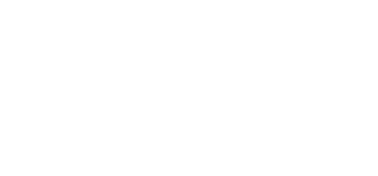 Whiddon Autumn Festival